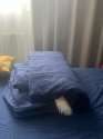 IMG_1857.jpeg