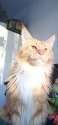 IMG-20240208-WA0002.jpg