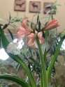 IMG_4858.jpeg