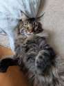 IMG-20240419-WA0005.jpg