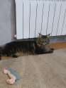IMG-20240428-WA0065.jpg