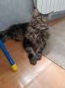 IMG-20240503-WA0028.jpg