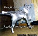 kotomatrix_68.jpg