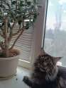 IMG-20240627-WA0003.jpg