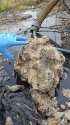 fatberg.jpg