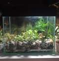 IMG_20240814_203629.jpg
