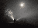image_2025-01-16_135203942.png