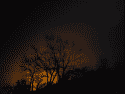 image_2025-01-16_135319092.png