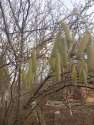 IMG-20250203-WA0002.jpg