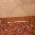 IMG-20241204-WA0002.jpg
