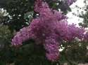 1C042D8C-83CD-41B4-BCAE-CDEC5B608C7B.jpeg