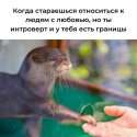 IMG_20250606_193623_895.jpg