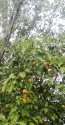IMG_20250619_105311.jpg
