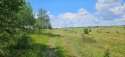 IMG-20250705-WA0022.jpg