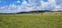 IMG-20250705-WA0014.jpg