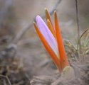 IMG_9413.jpg
