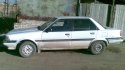 carina03.jpg