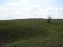 IMG_2040.jpg