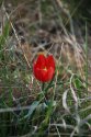 DSC_0401.jpg