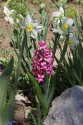 DSC00404.jpg