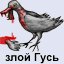 гусь.jpg