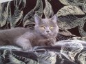 Photo-0133.jpg