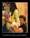 falmr6rs8jp1.jpg