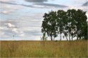 IMG_3600W.jpg