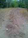 moto_0066.jpg