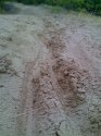 moto_0069.jpg
