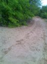 moto_0070.jpg