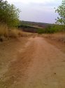 moto_0086.jpg