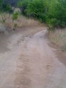 moto_0087.jpg