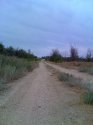 moto_0089.jpg