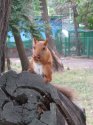 саратов 4.jpg
