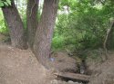 IMG_1676.jpg