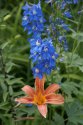 DSC00799.jpg