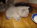 DSC07208.JPG