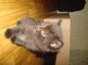 DSC07215.JPG
