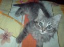 DSC00002.JPG