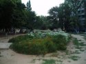 Изображение 015cc.jpg