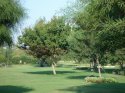 DSC00914_thumb.jpg