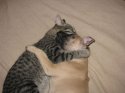 IMG_4382.JPG