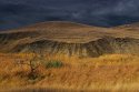 _DSC0198.jpg