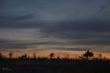 DSC_2385.jpg