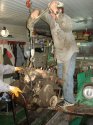 DSC04302.jpg
