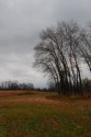 DSC_0102.JPG