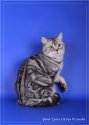 IMG_2015finWeb.jpg