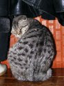 DSCF2138.JPG