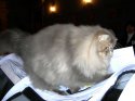 DSCN6089.jpg